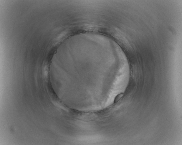 X0000115391154200911241240