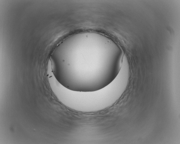 X0000115391157200911241240