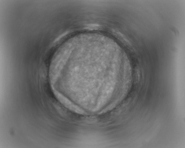 X0000115391158200911241240