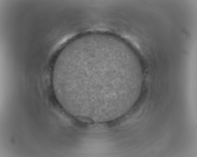 X0000115391159200911241240