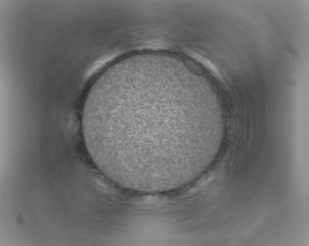 X0000115391160200911241240