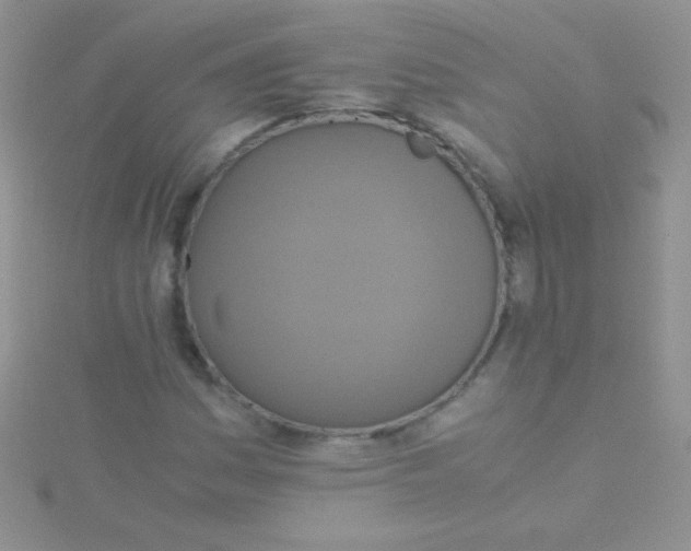 X0000115391161200911241240