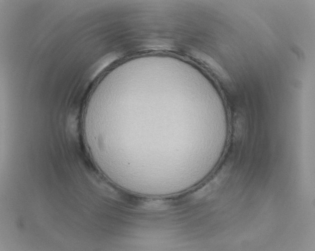 X0000115391162200911241240