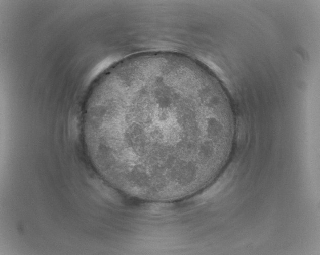 X0000115391163200911241240