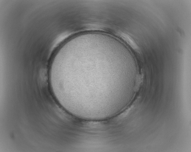 X0000115391164200911241240