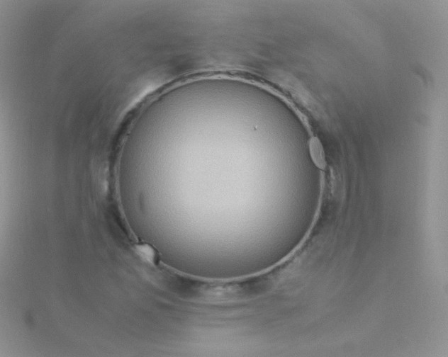 X0000115391165200911241240