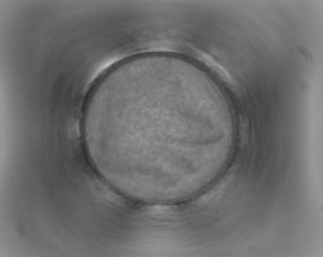 X0000115391166200911241240