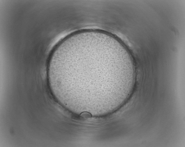 X0000115391167200911241240