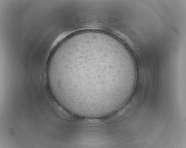 X0000115391168200911241240