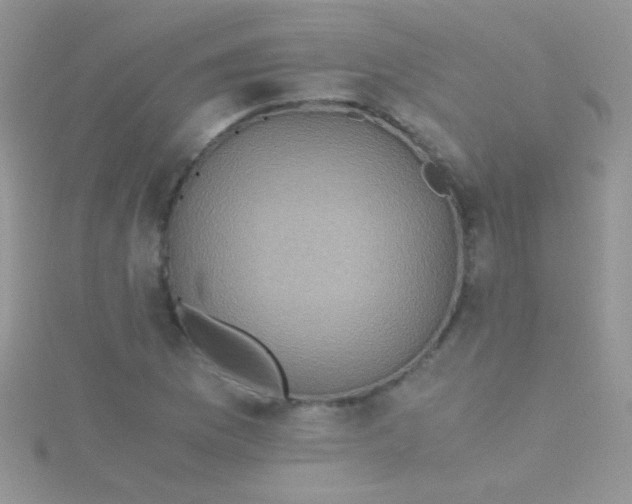 X0000115391169200911241240