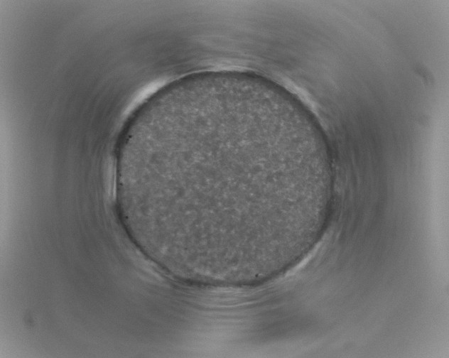 X0000115391171200911241240