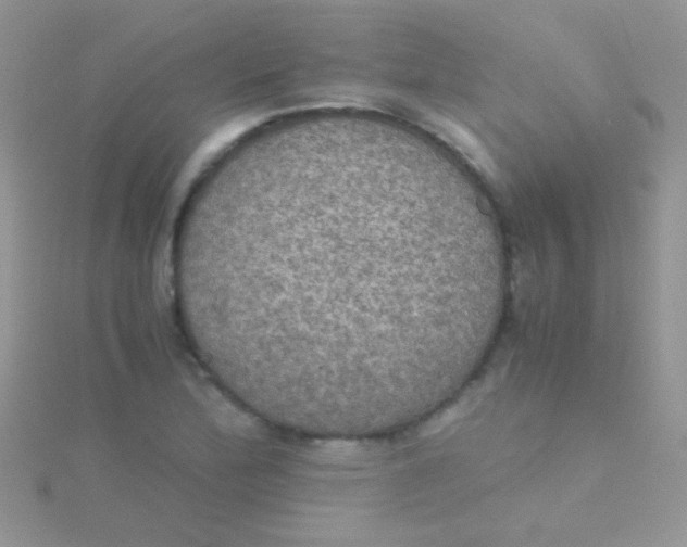 X0000115391172200911241240