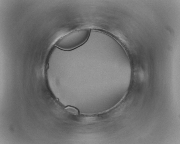 X0000115391173200911241240