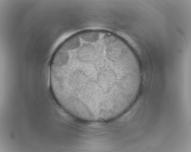 X0000115391175200911241240