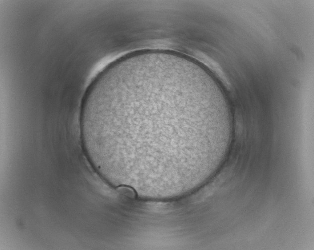 X0000115391176200911241240