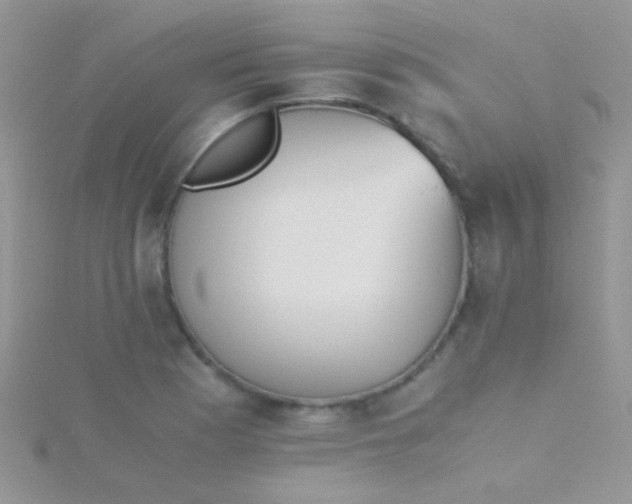 X0000115391177200911241240