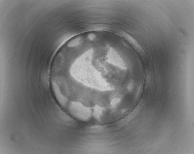 X0000115391178200911241240