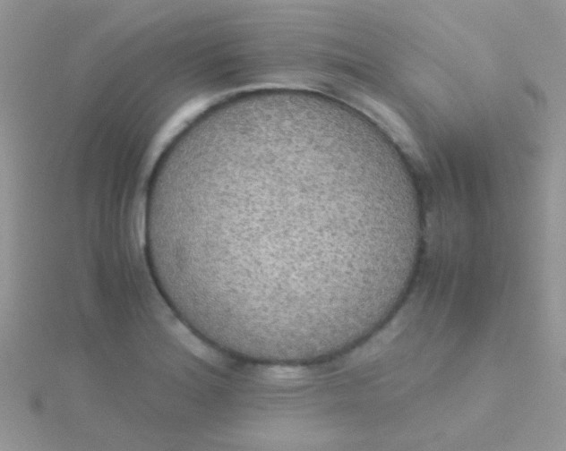 X0000115391180200911241240