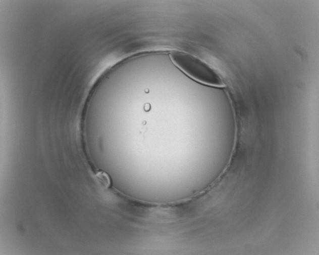 X0000115391181200911241240