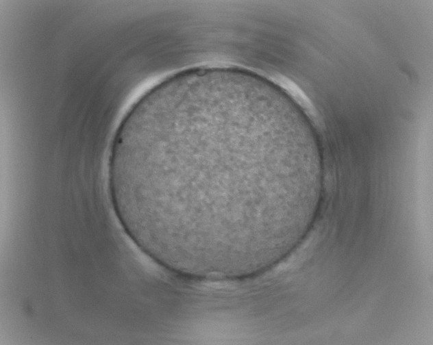 X0000115391183200911241240