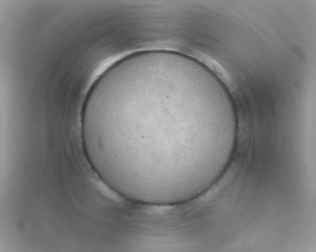 X0000115391184200911241240