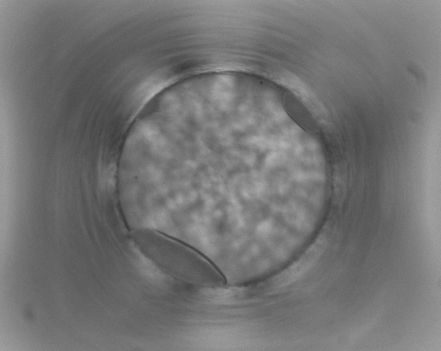 X0000115391185200911241240