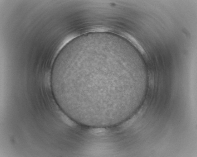 X0000115391186200911241240