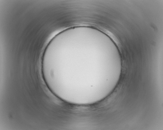 X0000115391187200911241240