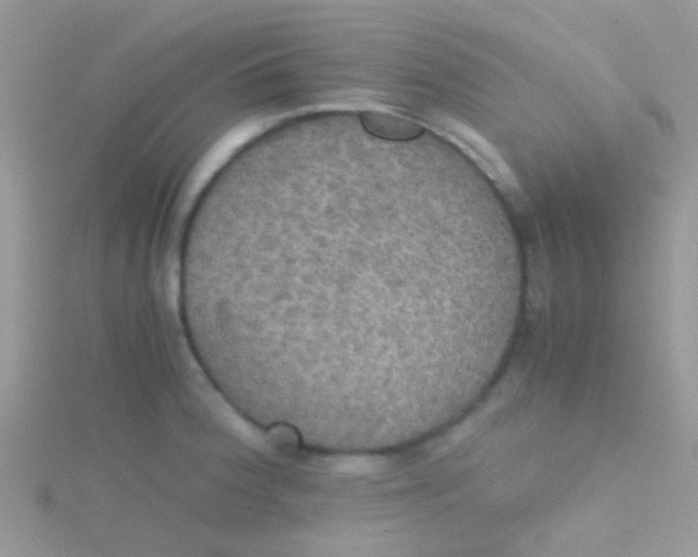 X0000115391188200911241240