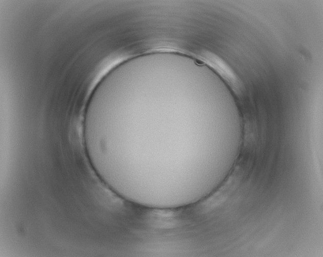 X0000115391190200911241240