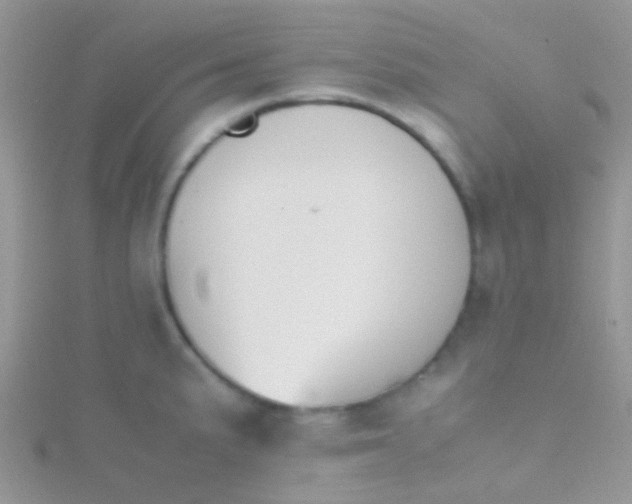 X0000115391191200911241240