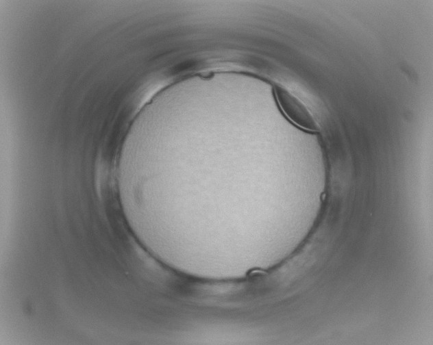 X0000115391193200911241240