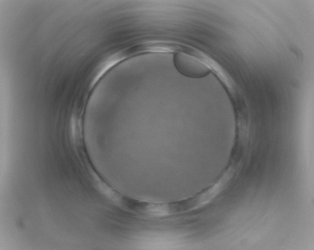 X0000115391194200911241240