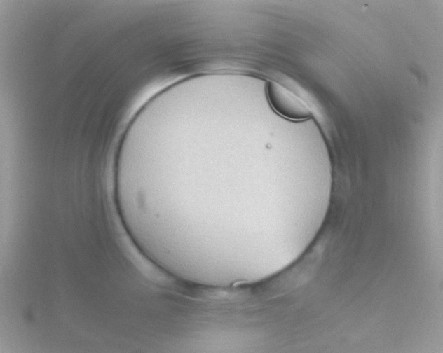 X0000115391195200911241240