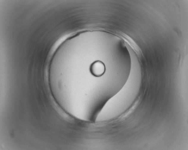 X0000115391196200911241240