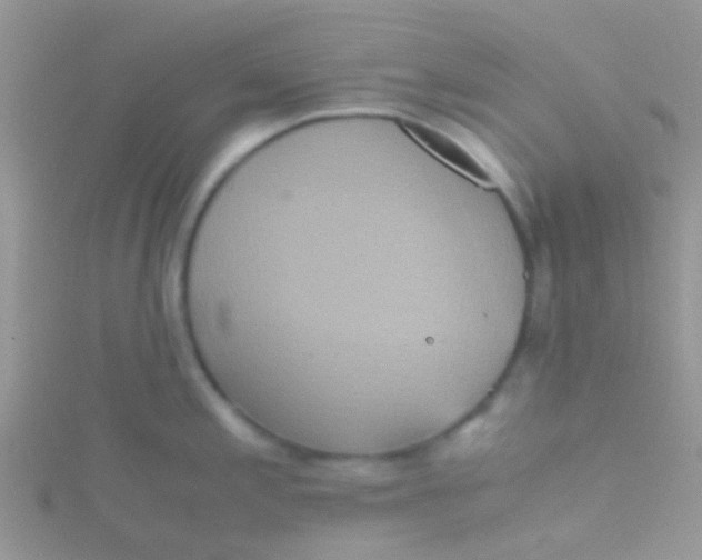 X0000115391197200911241240