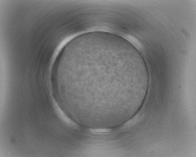 X0000115391200200911241240