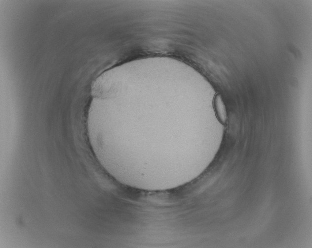 X0000115391201200911241239