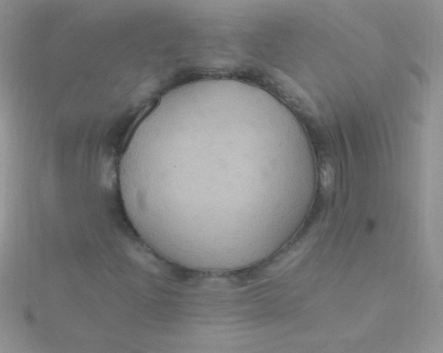 X0000115391204200911241239