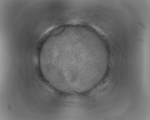 X0000115391206200911241239