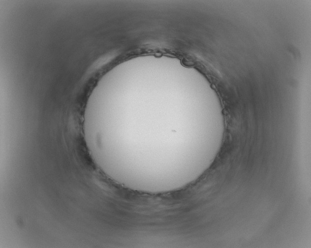 X0000115391207200911241239