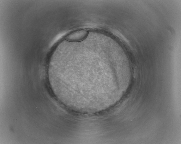 X0000115391208200911241239