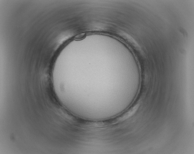 X0000115391210200911241239