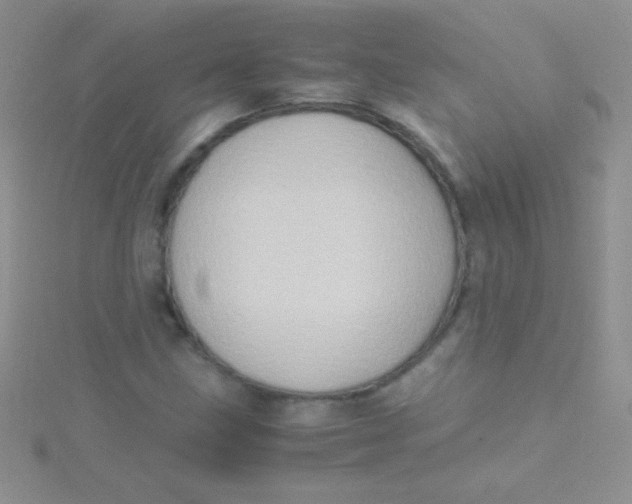 X0000115391211200911241239