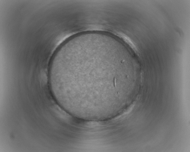 X0000115391212200911241239