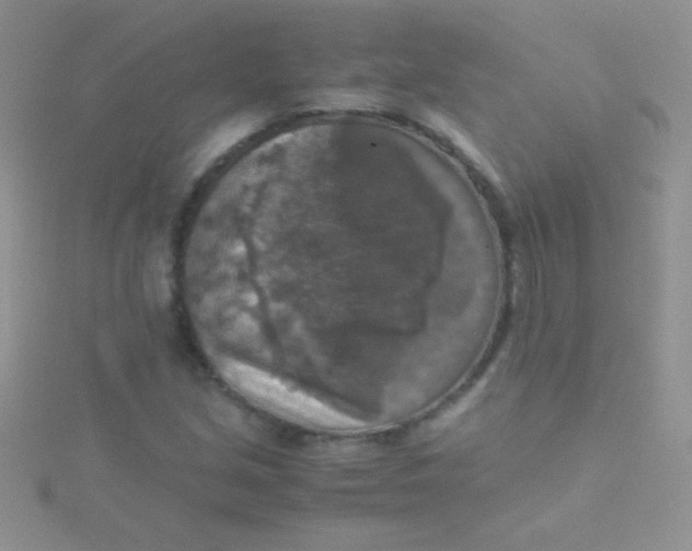 X0000115391213200911241239