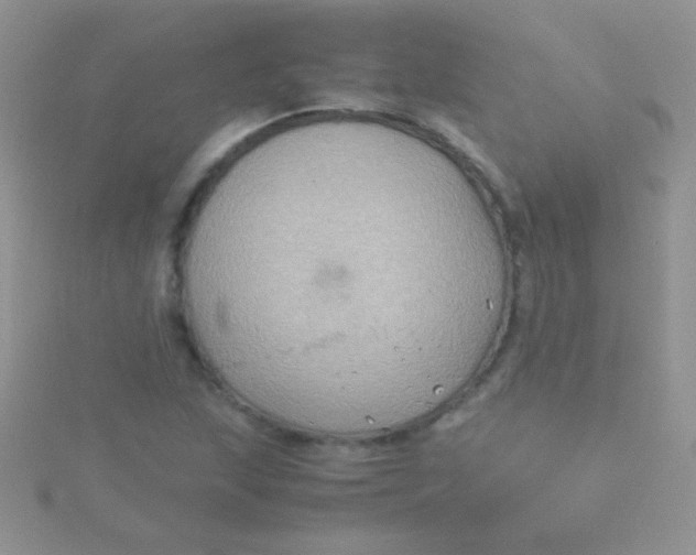 X0000115391215200911241239