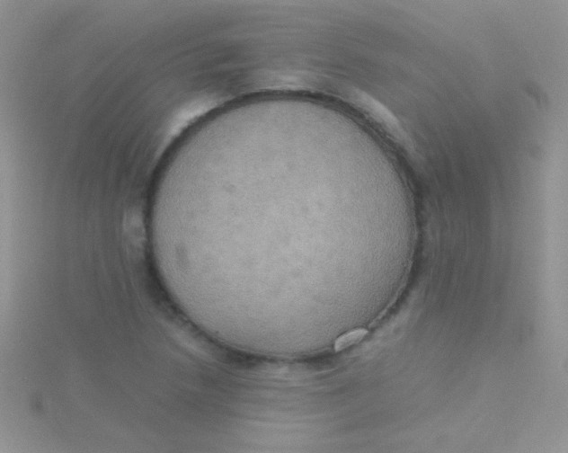 X0000115391218200911241239