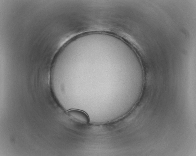 X0000115391220200911241240