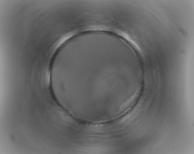 X0000115391221200911241240